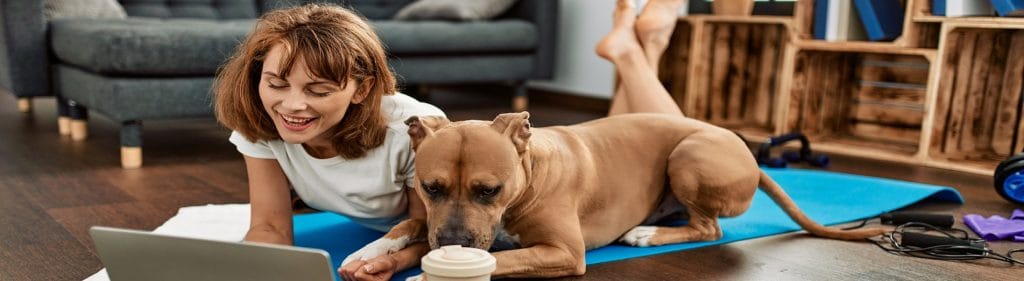 ufh direct underfloor heating warm floor with dog